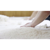 ［11月搾り］純米大吟醸生原酒 初馬／720ml